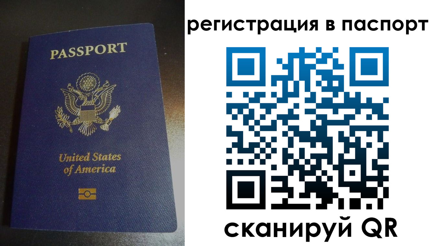 прописка для школы в Ельне